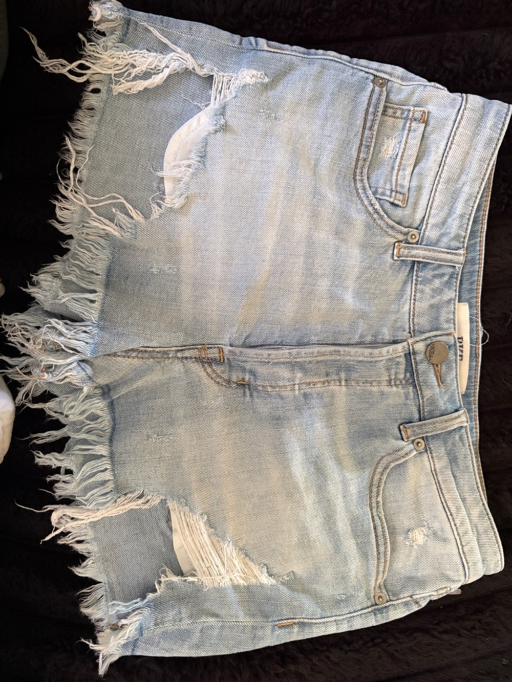 BKE shorts